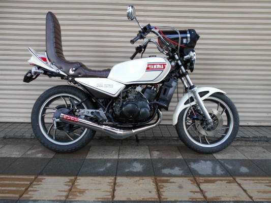 RZ250R 3段シート - シート